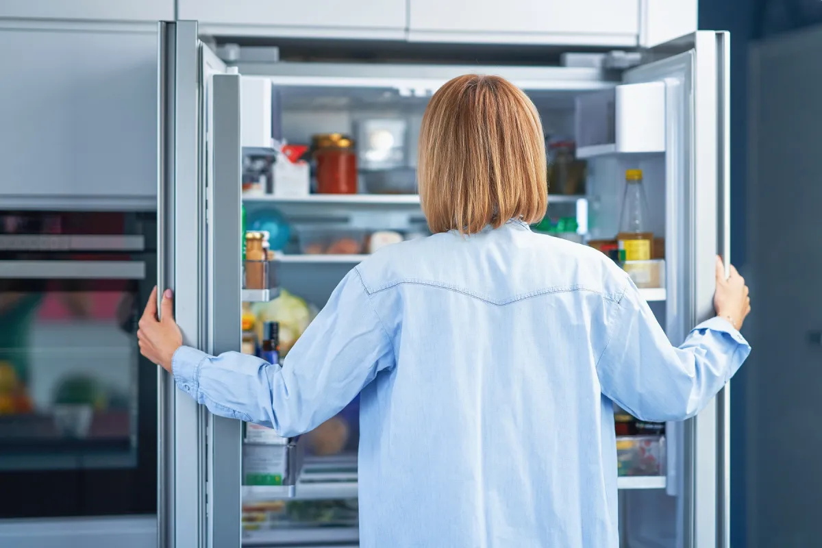 ¿Cómo elegir un frigorífico?